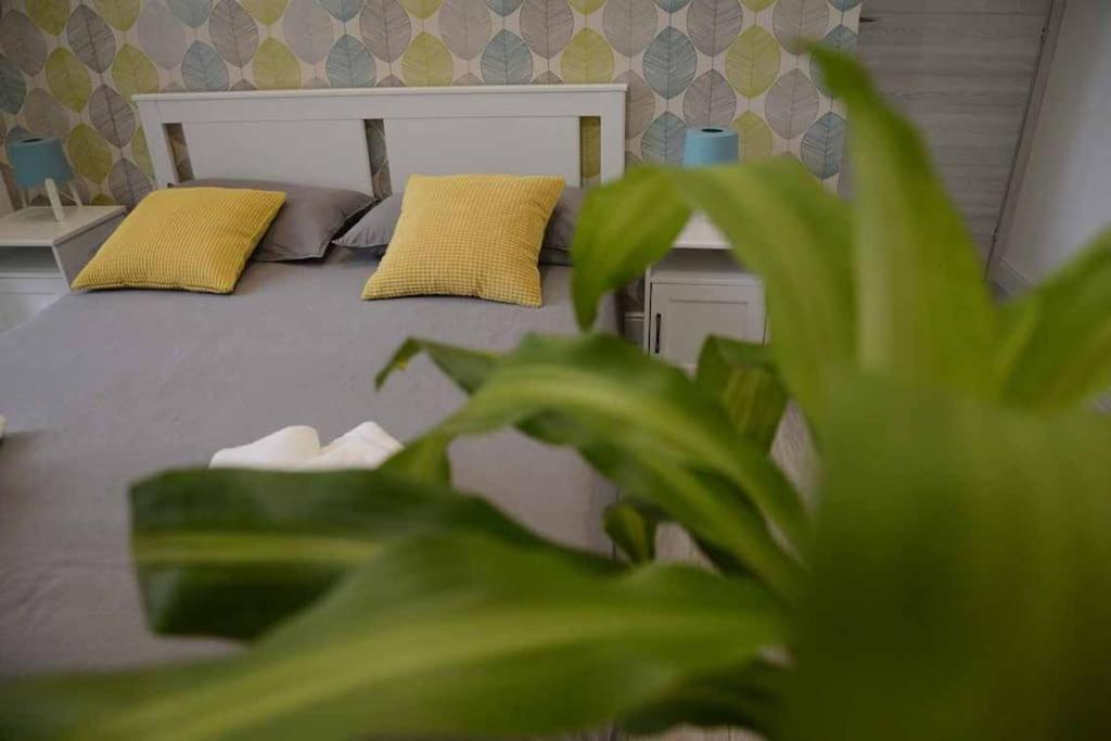 Casa E Appartamenti Per Vacanze Jenner 로마 외부 사진